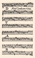 Printed musical notations from Honterus' press