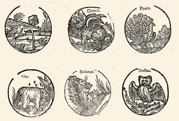 Wood-cut animal pictures from a fortune-telling book (RMNy 1029)