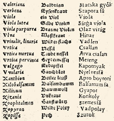 Three languages with three different types printed in  the trilingual  Nomenclatura: Latin, German and Hungarian